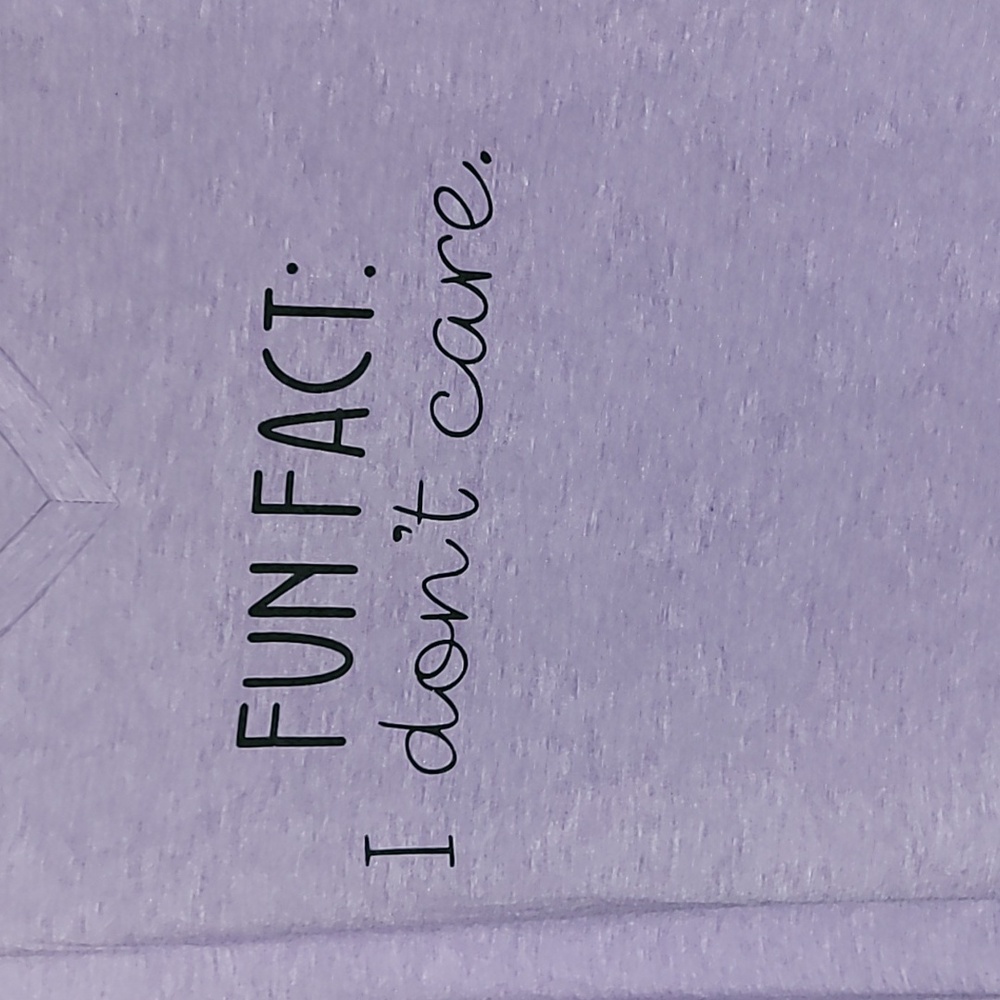 Fun Fact: I don't care V-Neck Shirt - Picture 2 of 6